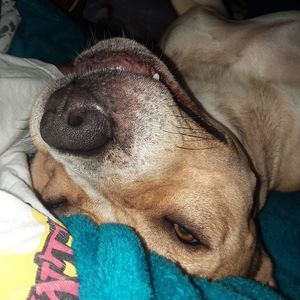 Meet your Posher, Jj